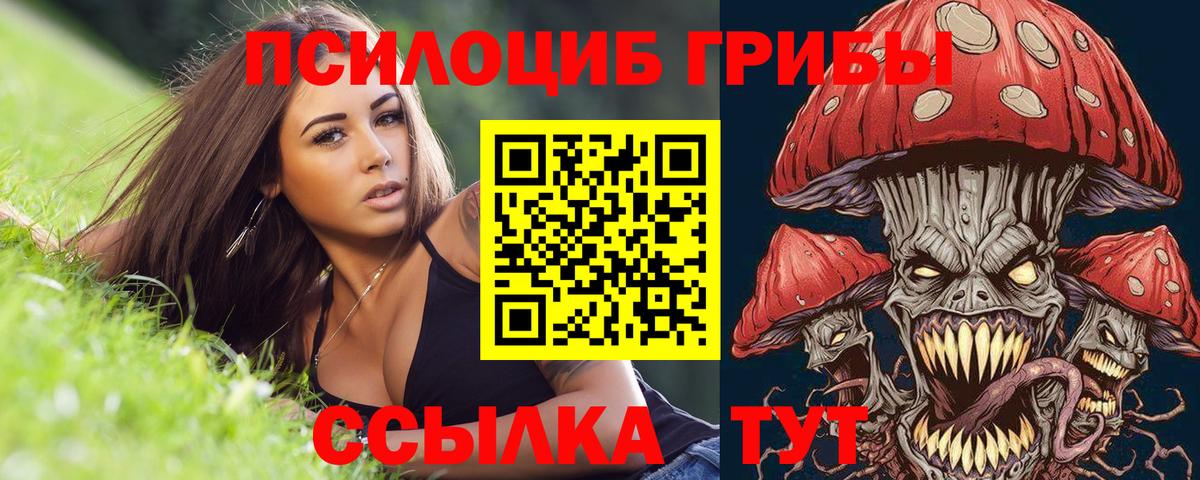 Псилоцибиновые грибы Psilocybe  Вход с VPN  Псилоцибиновые грибы прущие грибы  Дербент 